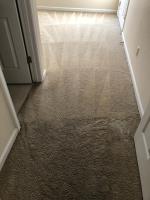 Veteran Carpet Cleaning Service image 3